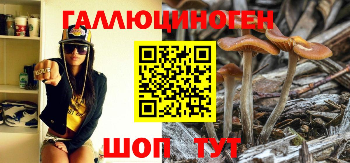 Галлюциногенные грибы MAGIC MUSHROOMS Верхний Уфалей